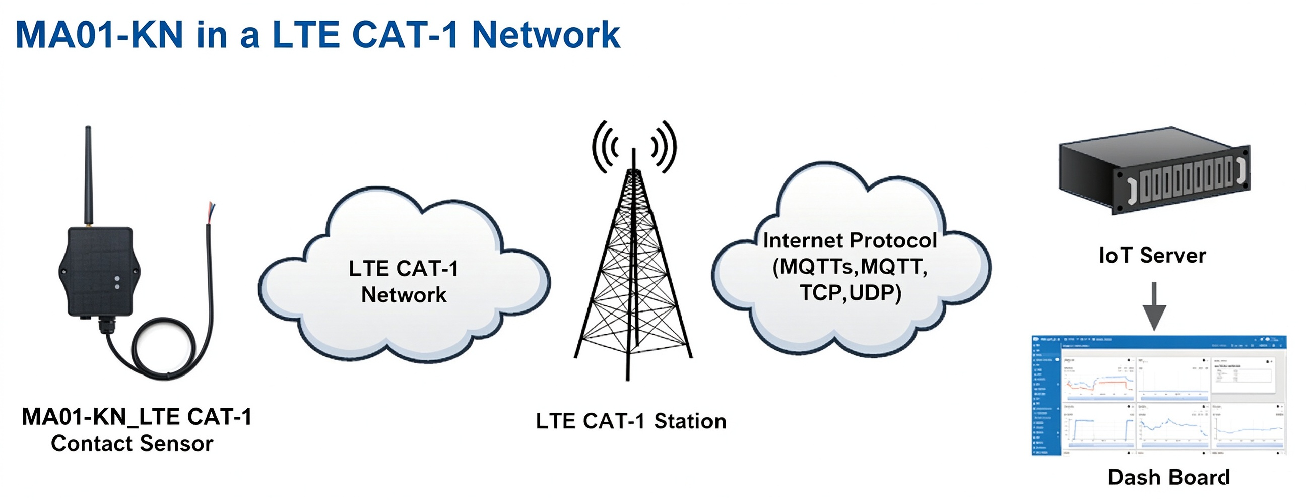 02-MA01-KN network structure.png